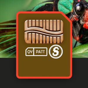 Starter Template: CICADAS - QY70 + QY100 Style Files