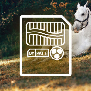 Starter Template: GINNY - QY70 + QY100 Style Files